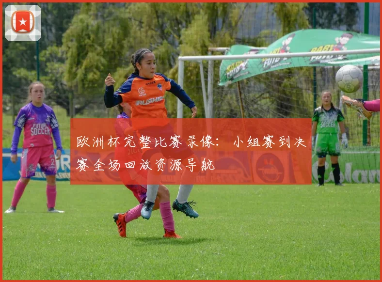 欧洲杯完整比赛录像：小组赛到决赛全场回放资源导航