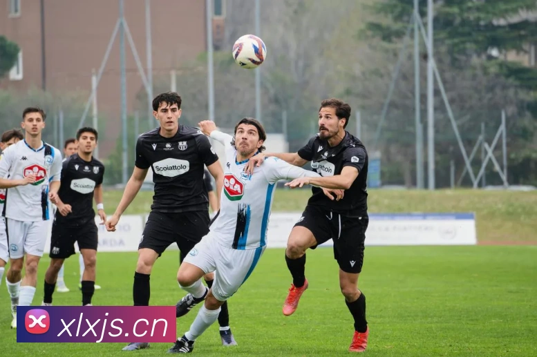 巅峰国标pg官网入口平台生态图